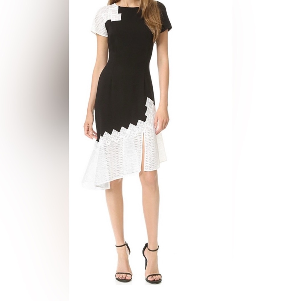 JONATHAN SIMKHAI Black & White Crepe Dress